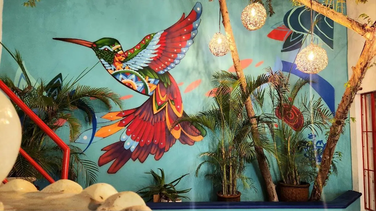 Hotel Linda Vecindad Playa Del Carmen